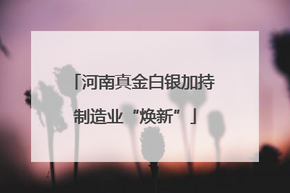 河南真金白银加持制造业“焕新”