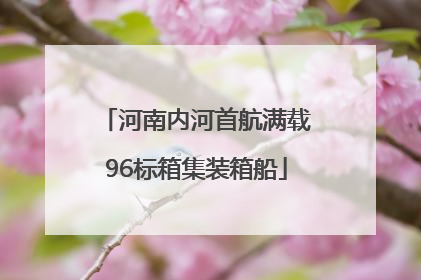 河南内河首航满载96标箱集装箱船