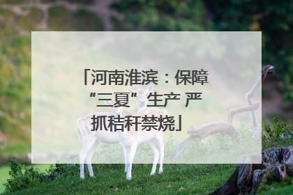 河南淮滨：保障“三夏”生产 严抓秸秆禁烧
