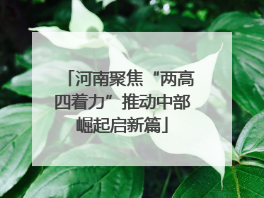 河南聚焦“两高四着力”推动中部崛起启新篇