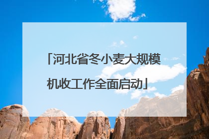 河北省冬小麦大规模机收工作全面启动