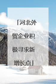 河北外贸企业积极寻求新增长点
