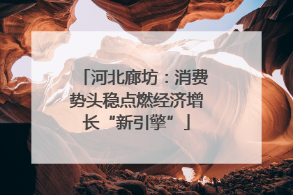 河北廊坊：消费势头稳点燃经济增长“新引擎”
