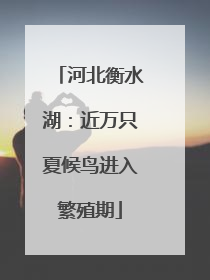 河北衡水湖：近万只夏候鸟进入繁殖期