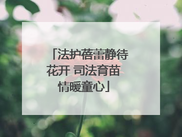 法护蓓蕾静待花开 司法育苗情暖童心