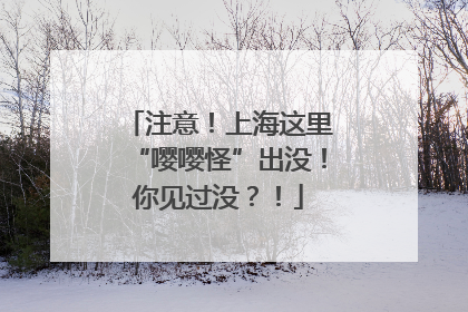 注意！上海这里“嘤嘤怪”出没！你见过没？！
