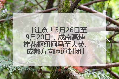 注意！5月26日至9月20日，成南高速桂花枢纽回马至大英、成都方向匝道封闭