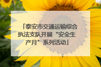 泰安市交通运输综合执法支队开展“安全生产月”系列活动