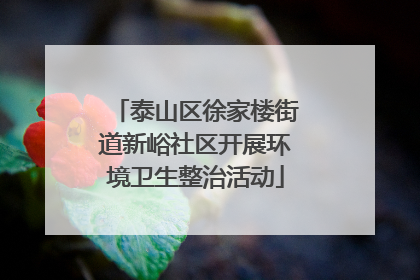 泰山区徐家楼街道新峪社区开展环境卫生整治活动