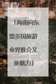 海南向东盟多国旅游业界推介文旅魅力