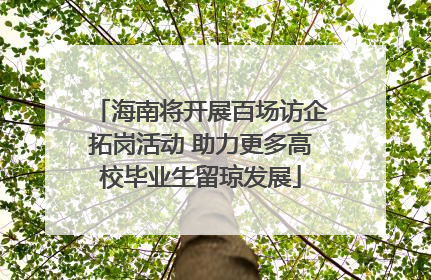海南将开展百场访企拓岗活动 助力更多高校毕业生留琼发展