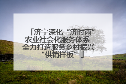 济宁深化“济时雨”农业社会化服务体系 全力打造服务乡村振兴“供销样板”
