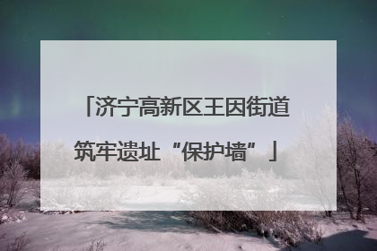 济宁高新区王因街道筑牢遗址“保护墙”