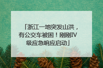 浙江一地突发山洪，有公交车被困！刚刚Ⅳ级应急响应启动