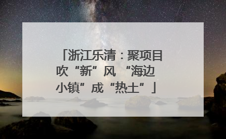 浙江乐清：聚项目吹“新”风 “海边小镇”成“热土”