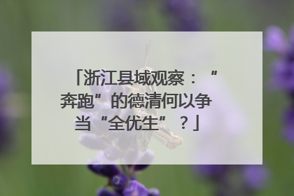 浙江县域观察：“奔跑”的德清何以争当“全优生”？