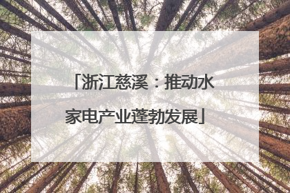 浙江慈溪：推动水家电产业蓬勃发展