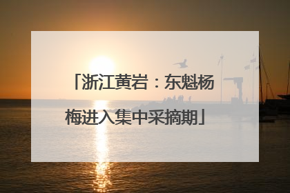 浙江黄岩：东魁杨梅进入集中采摘期