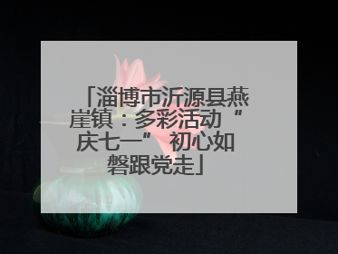 淄博市沂源县燕崖镇：多彩活动“庆七一” 初心如磐跟党走