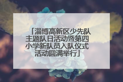 淄博高新区少先队主题队日活动暨第四小学新队员入队仪式活动圆满举行