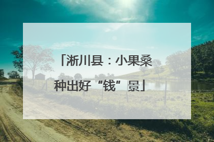 淅川县：小果桑种出好“钱”景