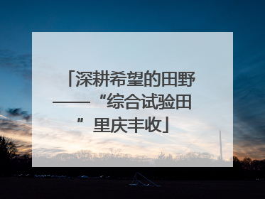 深耕希望的田野——“综合试验田”里庆丰收