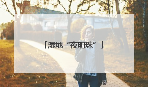 湿地“夜明珠”