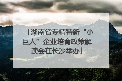 湖南省专精特新“小巨人”企业培育政策解读会在长沙举办