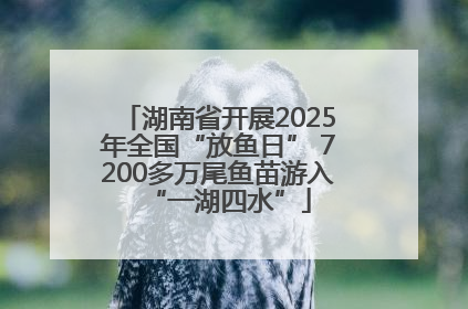 湖南省开展2025年全国“放鱼日” 7200多万尾鱼苗游入“一湖四水”