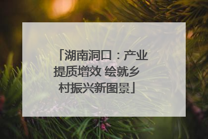 湖南洞口：产业提质增效 绘就乡村振兴新图景
