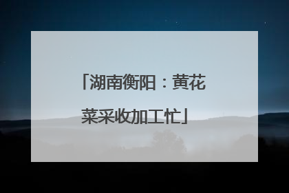湖南衡阳：黄花菜采收加工忙