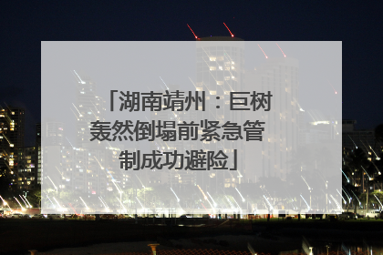 湖南靖州：巨树轰然倒塌前紧急管制成功避险