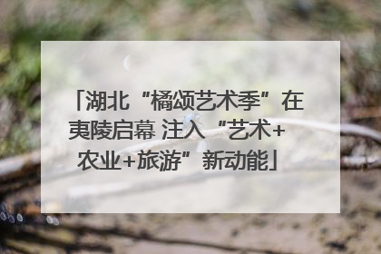 湖北“橘颂艺术季”在夷陵启幕 注入“艺术+农业+旅游”新动能