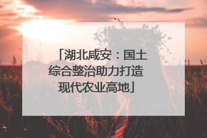 湖北咸安：国土综合整治助力打造现代农业高地