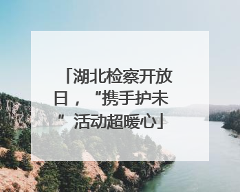 湖北检察开放日，“携手护未”活动超暖心