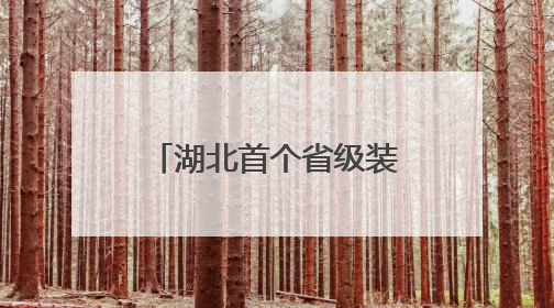 湖北首个省级装配式绿色建筑技术创新中心揭牌