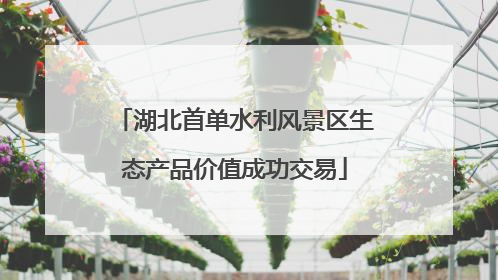 湖北首单水利风景区生态产品价值成功交易