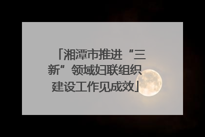 湘潭市推进“三新”领域妇联组织建设工作见成效