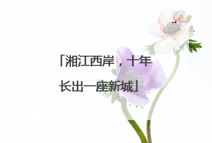 湘江西岸，十年长出一座新城