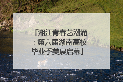湘江青春艺潮涌：第六届湖南高校毕业季美展启幕