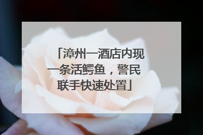 漳州一酒店内现一条活鳄鱼，警民联手快速处置