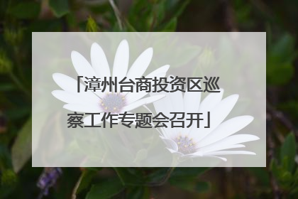 漳州台商投资区巡察工作专题会召开