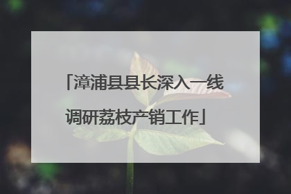 漳浦县县长深入一线调研荔枝产销工作