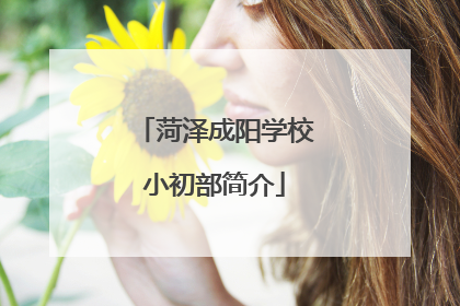 菏泽成阳学校小初部简介