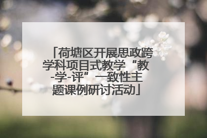 荷塘区开展思政跨学科项目式教学“教-学-评”一致性主题课例研讨活动