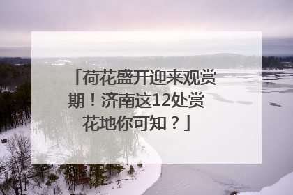 荷花盛开迎来观赏期！济南这12处赏花地你可知？