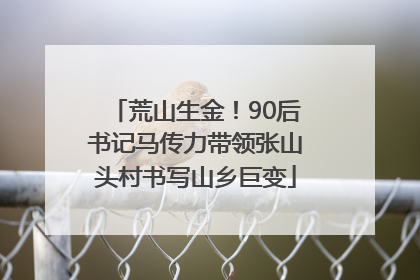 荒山生金！90后书记马传力带领张山头村书写山乡巨变