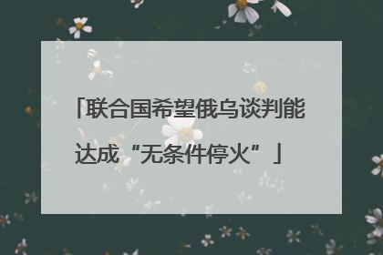 联合国希望俄乌谈判能达成“无条件停火”