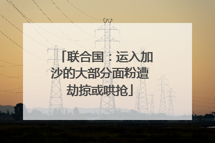 联合国：运入加沙的大部分面粉遭劫掠或哄抢