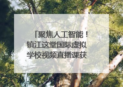 聚焦人工智能！镇江这堂国际虚拟学校视频直播课获韩美伙伴点赞
